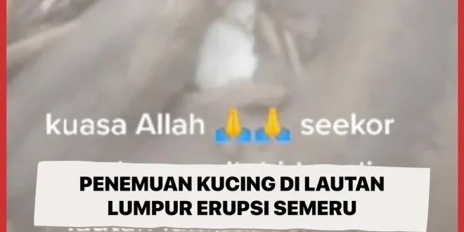 Dampak Erupsi Semeru pada Macan Tutul Awan Langka