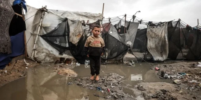 Dampak Hujan Deras & Suhu Dingin pada Pengungsi Palestina Gaza