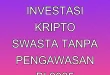 Dampak Investasi Kripto Swasta Tanpa Pengawasan BI 2025
