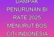 Dampak Penurunan BI Rate 2025 menurut Bos Citi Indonesia