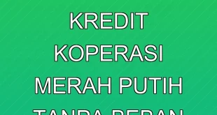 DPR RI Sarankan Kredit Koperasi Merah Putih Tanpa Beban APBN