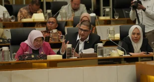 DPR Soroti Pembabatan Mangrove Sultra: Dampak dan Solusi