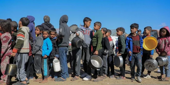 Dua Bocah Palestina Ditembak di Tepi Barat, Kronologi dan Dampak