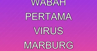 Ethiopia Konfirmasi Wabah Pertama Virus Marburg dengan Risiko Tinggi