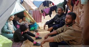 Fakta Terkini Pemindahan Paksa Warga Palestina ke Afrika Selatan