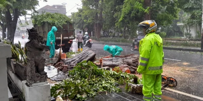 Hujan Abu Gunung Sakurajima: Warga Diminta Pakai Pelindung Wajah