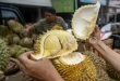 Klarifikasi Zulhas: Durian Belum Jadi Buah Nasional Indonesia