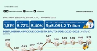 Pertumbuhan Konsumsi Rumah Tangga 4,89% dan Dampaknya 2025