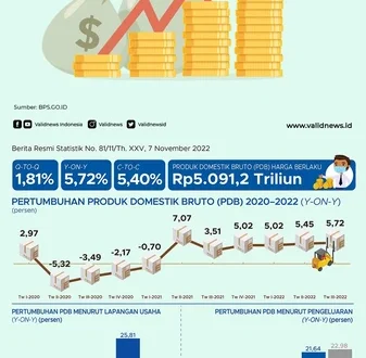 Pertumbuhan Konsumsi Rumah Tangga 4,89% dan Dampaknya 2025