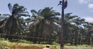 PLN Percepat Pembangunan Menara Darurat Atasi Banjir Sumatera