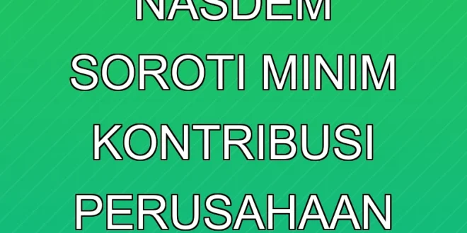 Politikus Nasdem Soroti Minim Kontribusi Perusahaan Migas Papua