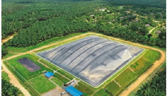 Produksi Biogas Limbah Sawit PGN 1,2 BBTUD Dukung Energi Bersih