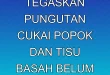 Purbaya Tegaskan Pungutan Cukai Popok dan Tisu Basah Belum Berlaku