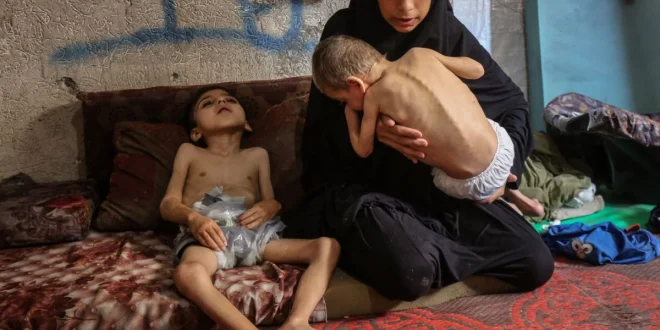 Ratusan Ribu Keluarga Gaza Hadapi Dingin Ekstrem 2025