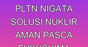 Reaktivasi PLTN Nigata: Solusi Nuklir Aman Pasca Fukushima