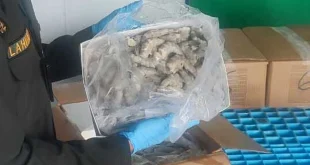 Respons Cepat Walmart atas Kontaminasi Udang Radioaktif RI