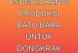 Strategi ESDM Kurangi Produksi Batu Bara untuk Dongkrak Harga 2025