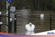 Banjir Luapan Sungai Washington AS: Update Terbaru & Evakuasi