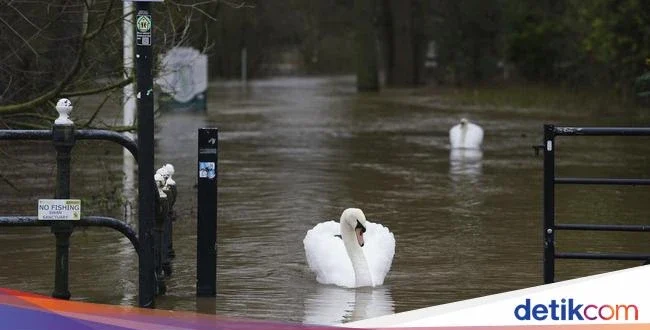 Banjir Luapan Sungai Washington AS: Update Terbaru & Evakuasi