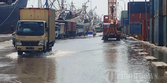 Banjir Rob Pelabuhan Sunda Kelapa: Analisis Dampak dan Mitigasi Terbaru