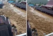 Dampak Banjir Bandang Sumut: Pemanfaatan Bambu Kayu oleh Warga