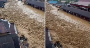 Dampak Banjir Bandang Sumut: Pemanfaatan Bambu Kayu oleh Warga