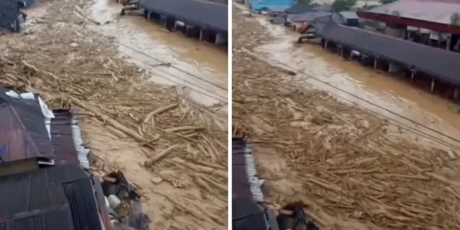 Dampak Banjir Bandang Sumut: Pemanfaatan Bambu Kayu oleh Warga