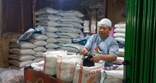 Dampak Kebijakan Tanpa Impor Beras 2025 bagi Industri Pangan
