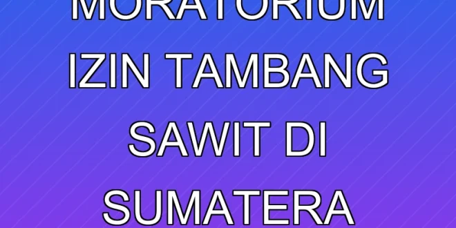 Desakan Moratorium Izin Tambang Sawit di Sumatera oleh Celios