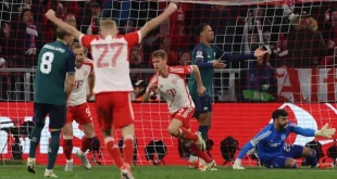 Hasil Liga Champions: Bayern Sikat Sporting, Tempel Ketat Arsenal