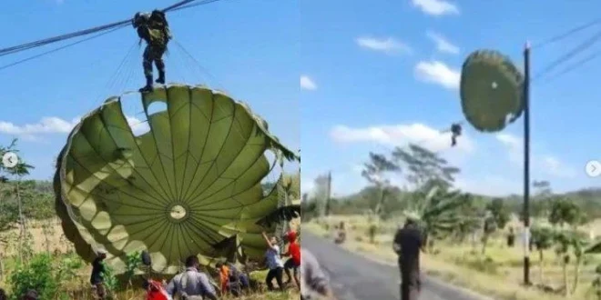 Insiden Penerjun Payung Australia Tersangkut Ekor Pesawat: Investigasi CASA