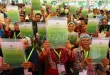 Izin Pemanfaatan Hutan Mentawai 45 Tahun PT MPL: Dampak & Proses