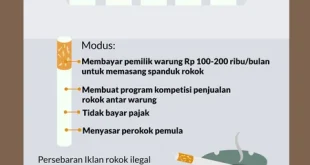 Jakarta Sebagai Hub Transit Rokok Ilegal: Upaya Tegas 2025