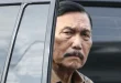 Luhut Instruksikan UGM Riset Bawang Tingkatkan Ketahanan Pangan