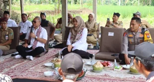 Menko Pangan Tinjau SPPG Daerah Bencana: Dukungan Distribusi Pangan