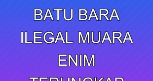 Modus Penambangan Batu Bara Ilegal Muara Enim Terungkap 2025