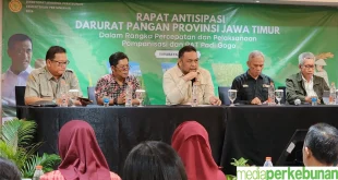 Pakar Dorong Pemda Siapkan Cadangan Pangan Darurat Efektif