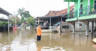 PDIP dan Penanganan Banjir Sumatra: Status Bencana & Bantuan Terkini