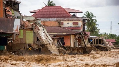 Pembalakan Liar Penyebab Banjir Sumatra, Kemenhut Tegaskan Tindakan