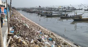 Pemkot Surabaya Tunda Pembangunan Tanggul Laut Banjir Rob