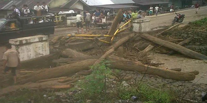 Penyelidikan Illegal Logging dan Dampak Banjir Sumatra 2025