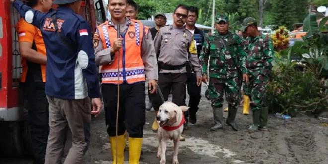 Polda Sumut Gunakan Anjing Pelacak untuk Cari Korban Banjir Longsor
