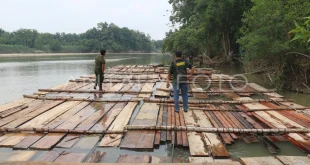 Polisi Sumut Ambil Sampel Kayu Sungai Garoga, Bukti Ilegal Logging