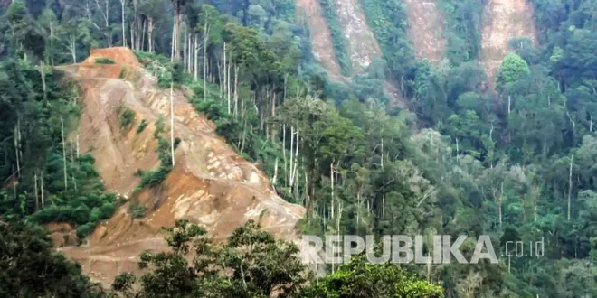 Prabowo Janji Sikap Tegas Atasi Pembalakan Liar Hutan Rawan Bencana