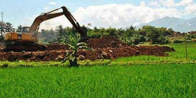 Serikat Petani Hutan Sukabumi: Sisa 12% Lahan Hutan Terkikis