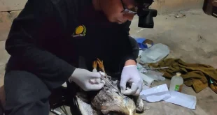Suasana Mencekam Kalibata Jaksel Usai Insiden Mata Elang