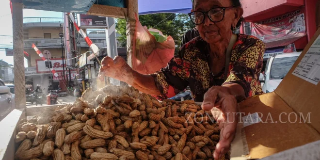 Warga Aceh Bertahan Hidup dengan Labu Rebus: Analisa Ketahanan Pangan Terkini