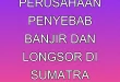 12 Perusahaan Penyebab Banjir dan Longsor di Sumatra Terungkap