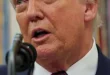 Analisis Penembakan Alex Pretti: Trump Bela Agen ICE