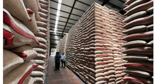 Pemerintah Indonesia Bebas Impor Beras & Gula 2026, Ini Alasannya